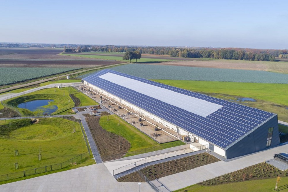 Kipster bouwt boerderijen in VS