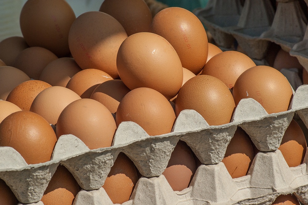 Oplossing in de maak voor eieren met vrije- uitloopstatus