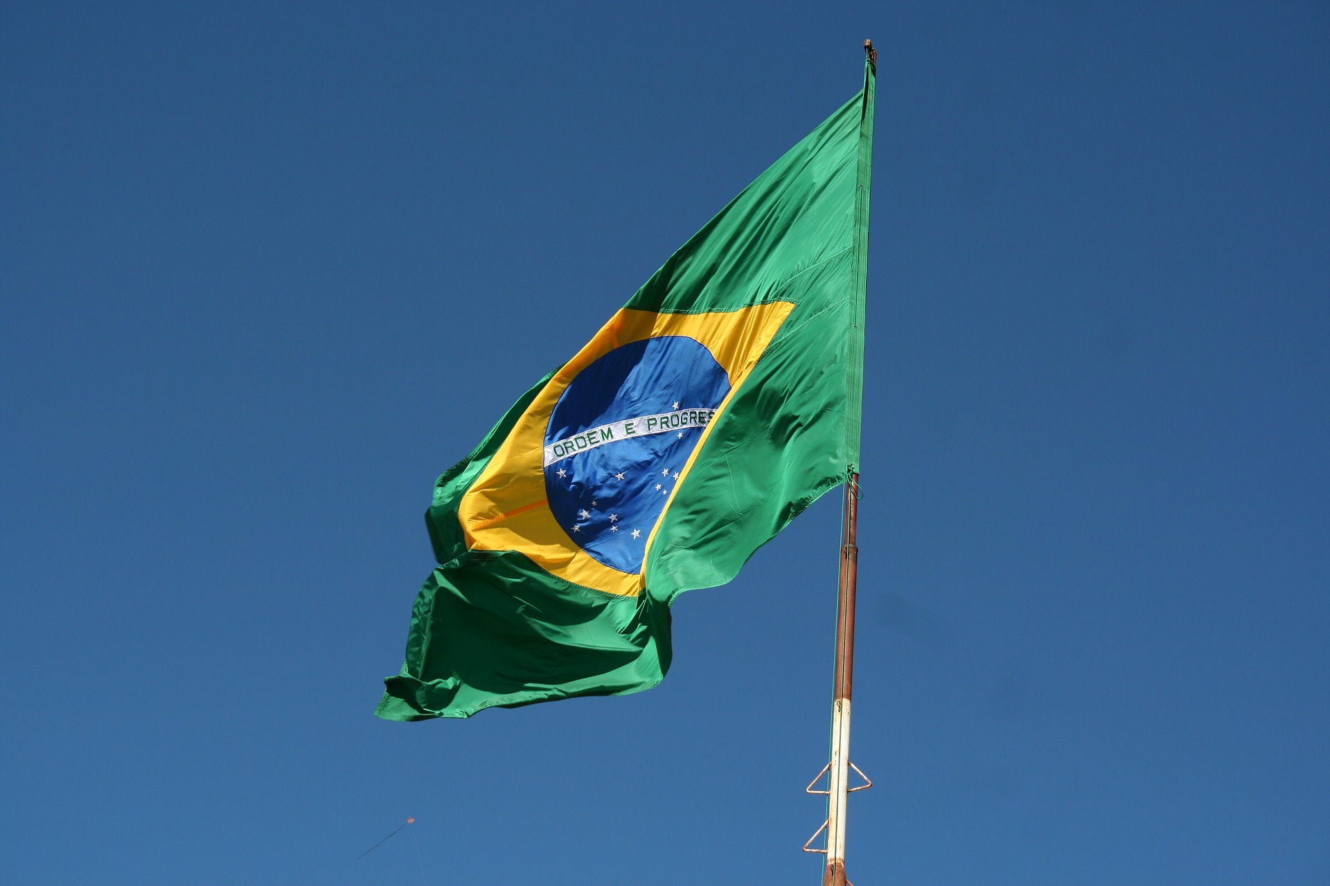 Brazilië roept noodtoestand uit vanwege vogelgriep