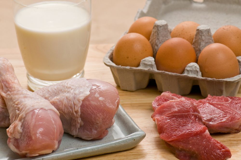 FAO: melk, vlees en eieren essentiële voedingsstoffen